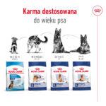 Royal Canin Maxi Adult 5+ 15kg - obrazek 7