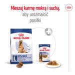 Royal Canin Maxi Adult 5+ 15kg - obrazek 8