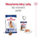 Royal Canin Maxi Adult 5+ 15kg - obrazek 9