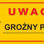 Dingo Tabliczka Ostrzegawcza Groźny Pies
