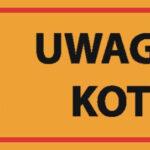 Dingo Tabliczka Ostrzegawcza Uwaga Kot