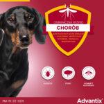 Advantix Krople Kleszcze Pchły 4-10kg - obrazek 5
