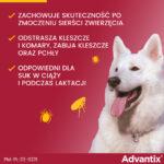 Advantix Krople dla Psa 25-40kg - obrazek 7