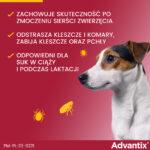 Advantix Krople na Kleszcze i Pchły dla Psów 4-10kg - obrazek 6
