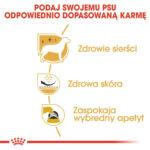 Karma ROYAL CANIN West Highland Terrier Adult - obrazek 5