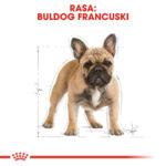 Royal Canin French Bulldog Adult 3kg - obrazek 3