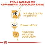 Royal Canin French Bulldog Adult 3kg - obrazek 5