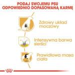 Karma Royal Canin Sznaucer Miniaturowy 7,5kg - obrazek 5