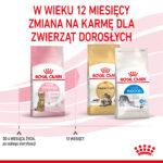 Royal Canin Kitten Sterilised 400g - obrazek 7