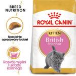ROYAL CANIN Karma Kocięta British Shorthair 2kg