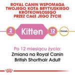 ROYAL CANIN Karma Kocięta British Shorthair 2kg - obrazek 2