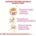 ROYAL CANIN Karma Kocięta British Shorthair 2kg - obrazek 3