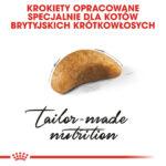 ROYAL CANIN Karma Kocięta British Shorthair 2kg - obrazek 4
