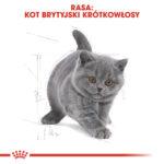 ROYAL CANIN Karma Kocięta British Shorthair 2kg - obrazek 5