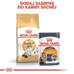 ROYAL CANIN Ragdoll Adult 2kg - obrazek 8