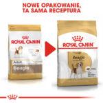 Royal Canin Beagle Adult 12kg - obrazek 5