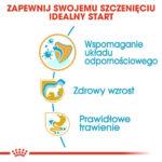 Royal Canin Jack Russell Szczenię 3kg - obrazek 4