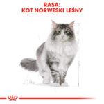 ROYAL CANIN Karma Kot Norweski Leśny 2kg - obrazek 2