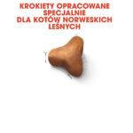 ROYAL CANIN Karma Kot Norweski Leśny 2kg - obrazek 3