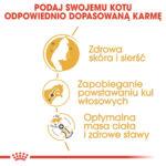 ROYAL CANIN Karma Kot Norweski Leśny 2kg - obrazek 4