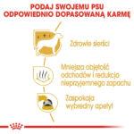 Karma ROYAL CANIN Maltese Adult 1.5 kg - obrazek 6