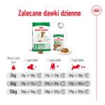 Royal Canin Mini Adult +8 karma 8kg - obrazek 10