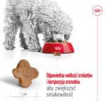 Royal Canin Mini Adult +8 karma 8kg - obrazek 5