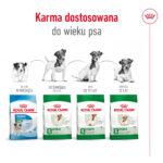 Royal Canin Mini Adult +8 karma 8kg - obrazek 6