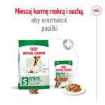 Royal Canin Mini Adult +8 karma 8kg - obrazek 7