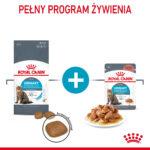 Royal Canin Urinary Care karma dla kota 10kg - obrazek 5