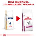 Karma weterynaryjna Royal Canin Renal Feline 4kg - obrazek 2