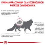 Karma weterynaryjna Royal Canin Renal Feline 4kg - obrazek 3