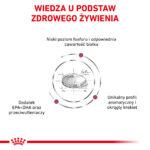 Karma weterynaryjna Royal Canin Renal Feline 4kg - obrazek 4