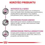 Karma weterynaryjna Royal Canin Renal Feline 4kg - obrazek 5