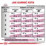 Karma weterynaryjna Royal Canin Renal Feline 4kg - obrazek 6