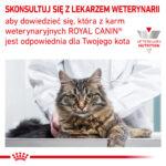 Karma weterynaryjna Royal Canin Renal Feline 4kg - obrazek 9