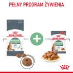 ROYAL CANIN Digestive Care Karma dla kota 10kg - obrazek 6