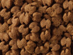 Eukanuba Karma dla Golden Retrieverów 12kg - obrazek 4