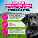 Eukanuba Puppy Jagnięcina Ryż 12kg - obrazek 3