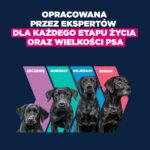 Eukanuba Puppy Jagnięcina Ryż 12kg - obrazek 4