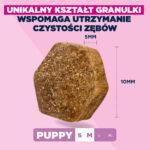 Eukanuba Puppy Jagnięcina Ryż 12kg - obrazek 5