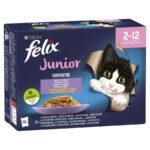 Felix Fantastic Junior Karma dla Kociąt 12x85g