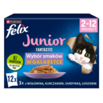 Felix Fantastic Junior Karma dla Kociąt 12x85g - obrazek 10