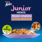 Felix Fantastic Junior Karma dla Kociąt 12x85g - obrazek 2