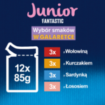 Felix Fantastic Junior Karma dla Kociąt 12x85g - obrazek 4