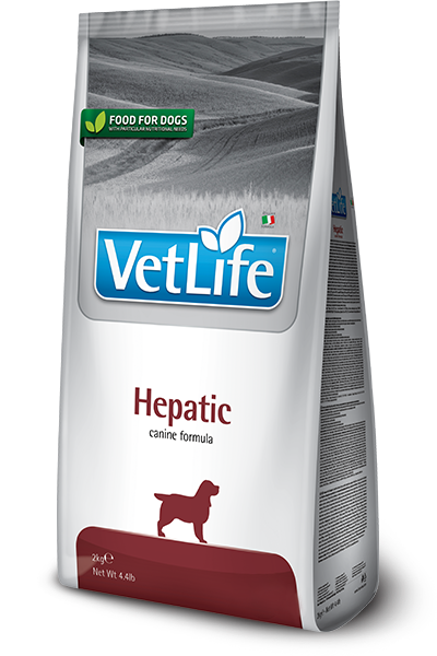 881_1.png Karma weterynaryjna Farmina Vet Life Hepatic 2kg - obrazek 1