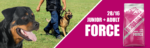 Josera Bavaro Force dla Aktywnych Psów 18kg - obrazek 2