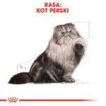 ROYAL CANIN Persian Adult 10kg - obrazek 3