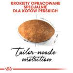 ROYAL CANIN Persian Adult 10kg - obrazek 4