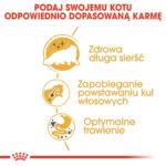 ROYAL CANIN Persian Adult 10kg - obrazek 5